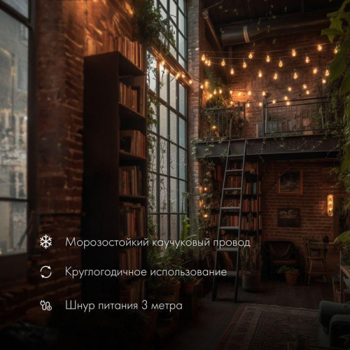 Гирлянда "Белт Лайт" 10м 20 патронов 4.8Вт IP65 провод каучук черн. Neon-Night 331-355 фото 2 Гирлянда "Белт Лайт" 10м 20 патронов 4.8Вт IP65 провод каучук черн. Neon-Night 331-355 фото 2