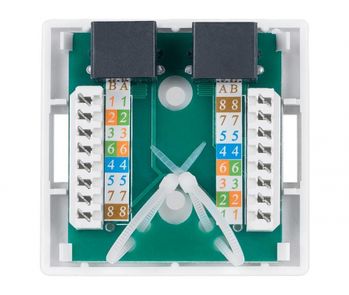 Розетка компьютерная 2-м ОП WS-8P8C-Cat.5e-2 RJ45 кат.5E Dual IDC Cabeus 7247c фото 3