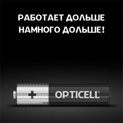 Элемент питания алкалиновый AAA/LR03 (блист. 4шт) Basic Opticell 5051002/6051002 фото 5 Элемент питания алкалиновый AAA/LR03 (блист. 4шт) Basic Opticell 5051002/6051002 фото 5