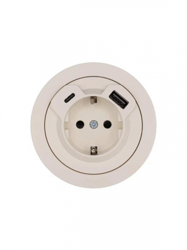 Розетка 1-м СП OSEN с заземл. TC + USB разъем механизм сл. кость LEZARD 743-9088-181TC фото 4