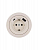 Розетка 1-м СП OSEN с заземл. TC + USB разъем механизм сл. кость LEZARD 743-9088-181TC