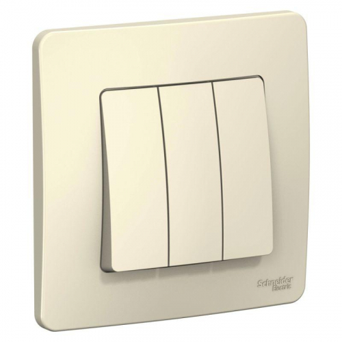 Выключатель 3-кл. СП Blanca 10А IP20 (сх. 1+1+1) 250В молочн. SE BLNVS100502 Выключатель 3-кл. СП Blanca 10А IP20 (сх. 1+1+1) 250В молочн. SE BLNVS100502