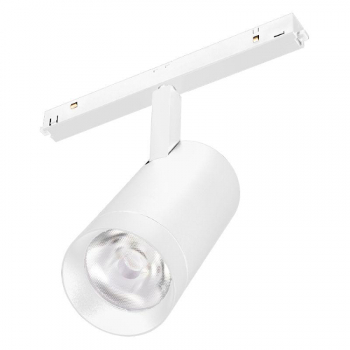 Светильник MAG-ORIENT-SPOT-R65-20W Day4000 (WH 24 deg 48В) (IP20 металл) Arlight 037122 Светильник MAG-ORIENT-SPOT-R65-20W Day4000 (WH 24 deg 48В) (IP20 металл) Arlight 037122
