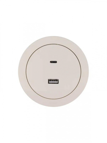 Розетка 1-м СП OSEN TC+ USB разъем механизм сл. кость LEZARD 743-9088-192TC фото 4