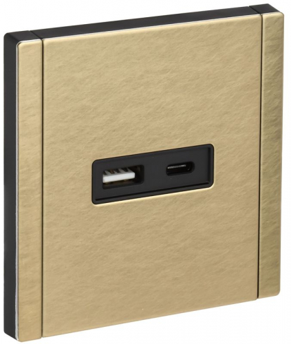 Розетка FORTE&PIANO FP651M USB A+C 18Вт шампань IEK FP-U22-018-M-K37 Розетка FORTE&PIANO FP651M USB A+C 18Вт шампань IEK FP-U22-018-M-K37