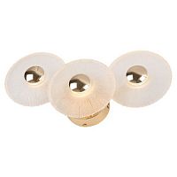 Бра светодиодный Helena 6134-401 LED 7Вт 3000К дизайн Rivoli Б0061946