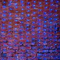Гирлянда светодиодная "Сеть" 2х1.5м 288LED син. 24Вт 230В IP65 свечение с динамикой провод ПВХ прозр. Neon-Night 215-043