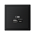 Розетка USB ArtGallery тип A+C 45Вт QC PD высокоскор. ЗУ механизм карбон SE GAL001029