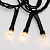 Гирлянда светодиодная "Твинкл Лайт" 10м 80LED тепл. бел. 5.7Вт 220-240В IP20 с контроллером 8 режимов провод ПВХ темн. зел. Neon-Night 303-046