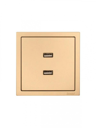 Розетка 2-м СП ZIMA IP20 USB механизм зол. LEZARD 704-3688-192 фото 3 Розетка 2-м СП ZIMA IP20 USB механизм зол. LEZARD 704-3688-192 фото 3