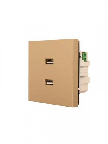 Розетка 2-м СП ZIMA IP20 USB механизм зол. LEZARD 704-3688-192 фото 2 Розетка 2-м СП ZIMA IP20 USB механизм зол. LEZARD 704-3688-192 фото 2
