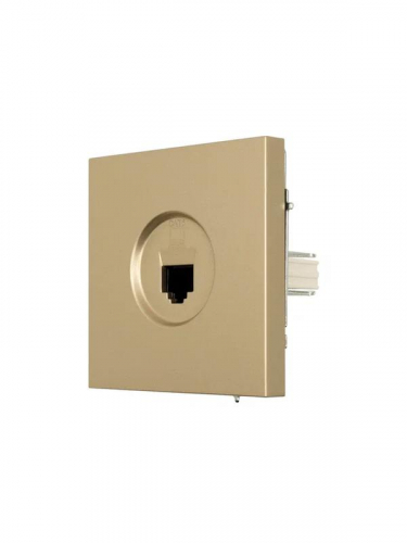 Розетка компьютерная 1-мест. СП ZIMA IP20 зол. LEZARD 704-3688-140 фото 2 Розетка компьютерная 1-мест. СП ZIMA IP20 зол. LEZARD 704-3688-140 фото 2