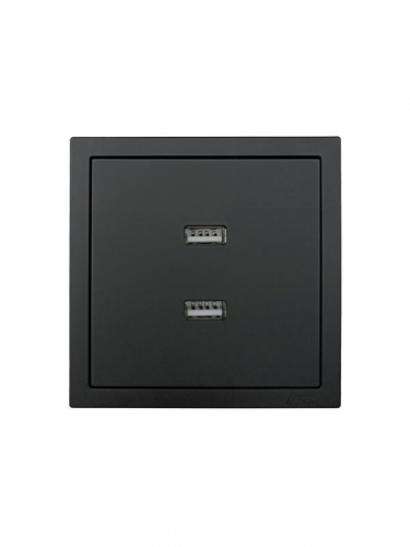 Розетка 1-мест. с 2-мест. USB разъем СП ZIMA IP20 черн. бархат LEZARD 704-4288-192