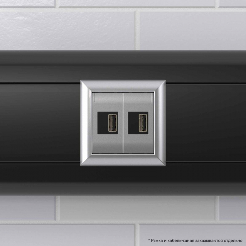 Устройство зарядное USB модульное 2мод. Avanti "Закаленная сталь" DKC 4404542 фото 6 Устройство зарядное USB модульное 2мод. Avanti "Закаленная сталь" DKC 4404542 фото 6