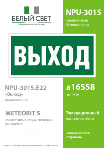 Знак безопасности NPU-3015.E22 «Выход» Белый свет a16558 фото 2
