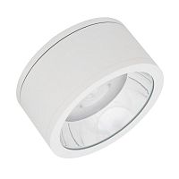 Светильник светодиодный DOWNLIGHT SURFACE ДПО 45Вт 4000К IP65 CRI80 угол 60град. d250мм бел. LEDVANCE 4058075769335