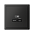 Розетка USB ArtGallery тип C 65Вт QC PD высокоскор. ЗУ механизм базальт SE GAL001427