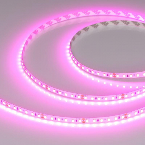 Лента светодиодная RT-A120-8mm 24V Magenta 9.6Вт/м IP20 2835 (уп.5м) Arlight 043381 Лента светодиодная RT-A120-8mm 24V Magenta 9.6Вт/м IP20 2835 (уп.5м) Arlight 043381