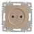 Розетка 1-м СП Accent 6-201-04 16А IP20 250В 2P шампань Intro Б0063663