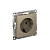 Розетка AtlasDesign 16А с заземл. быстрозажим. клем. механизм шампань SE ATN000543S