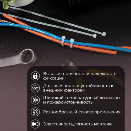 Набор хомутов 100мм; 150мм; 200мм НХ-1 разноцвет. нейл. (200шт) Rexant 07-7201 фото 2 Набор хомутов 100мм; 150мм; 200мм НХ-1 разноцвет. нейл. (200шт) Rexant 07-7201 фото 2