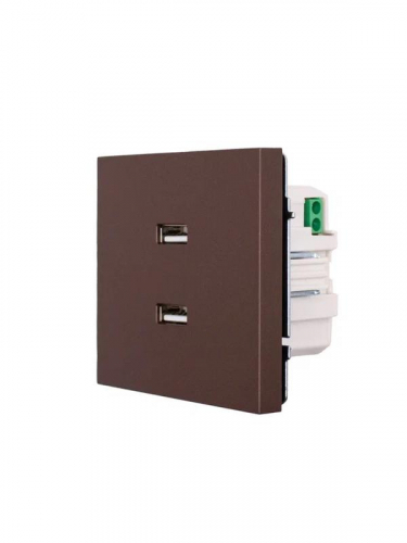 Розетка 2-м СП ZIMA IP20 USB механизм шоколад LEZARD 704-7388-192 фото 2