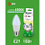 Лампа светодиодная GREEN LINE B35-15W-865-E27 GL 15Вт свеча 6500К свет холод. E27 Эра Б0067094
