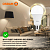 Лампа светодиодная LED G3 Value A 25Вт грушевидная матовая 3000К тепл. бел. E27 2000лм угол пучка 180град. 220-240В пластик (замена 200Вт) OSRAM 4058075696716