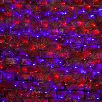 Гирлянда светодиодная "Сеть" 2.5х2.5м 432LED красн./син. 26Вт 220-240В IP65 провод ПВХ черн. Neon-Night 215-033