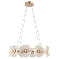 Люстра светодиодная Shannon 6135-101 LED 30Вт 3000К дизайн Rivoli Б0061947