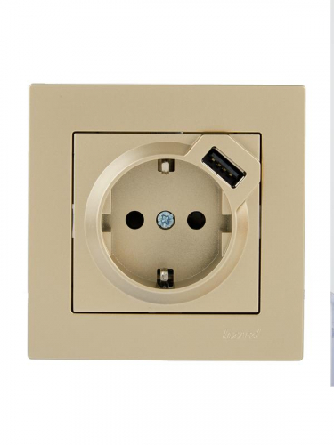 Розетка с заземл. + USB разъем VESNA зол. LEZARD 742-3688-181