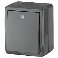 Выключатель 1-кл. ОП Эра Эксперт 10А IP54 11-1402-03 250В 10AX с подсветкой сер. Эра Б0020672