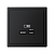 Розетка USB ArtGallery тип C 65Вт QC PD высокоскор. ЗУ механизм карбон SE GAL001027