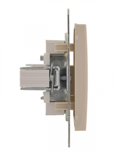 Розетка компьютерная СП Rain RJ45 16А IP20 механизм крем. LEZARD 703-0388-139 фото 3 Розетка компьютерная СП Rain RJ45 16А IP20 механизм крем. LEZARD 703-0388-139 фото 3