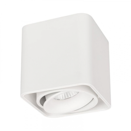 Светильник светодиодный SP-CUBUS-S100x100-8W Day4000 WH 45 deg IP20 230В металл Arlight 036048 Светильник светодиодный SP-CUBUS-S100x100-8W Day4000 WH 45 deg IP20 230В металл Arlight 036048