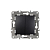 Выключатель 2-кл. СП Эра12 12-1004-05 10А IP20 250В 10AX без монтаж. лапок механизм антрацит Эра Б0014655