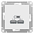 Розетка USB AtlasDesign тип A+A 5В/2.1А 2х5В/1.05А механизм лотос SE ATN001333