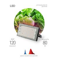 Прожектор светодиодный FITO-80W-RB-LED-Y 80Вт для растений красн./син. спектр IP65 Эра Б0053082