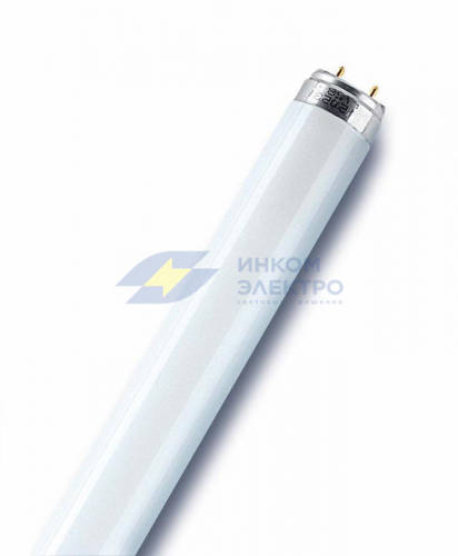 Лампа люминесцентная L 36W/865 LUMILUX 36Вт T8 6500К G13 смол. OSRAM 4058075692992