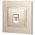 Розетка компьютерная 1-м Elegance 14-3107-04 RJ45 IP20 механизм шампань Эра Б0034305