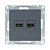 Розетка компьютерная 2-м СП Эпика RJ45 кат.5 механизм графит EKF UP1-SOG-2RJ45-5