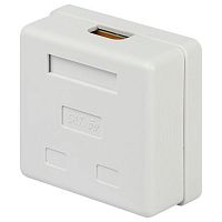 Розетка компьютерная 2-м RJ45 кат.5E неэкранир. RJ02UN Эра Б0056902