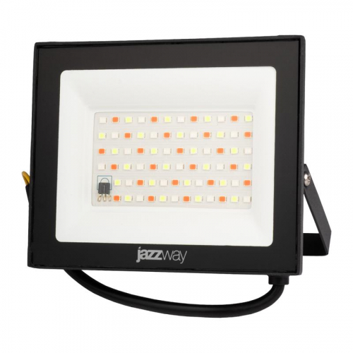 Прожектор светодиодный PFL RGB-RC 30Вт BL ДО/СДО IP65 (управление с пульта группой прожекторов R15м) JazzWay 5064188 фото 2