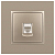 Розетка компьютерная 1-м Elegance 14-3107-04 RJ45 IP20 механизм шампань Эра Б0034305