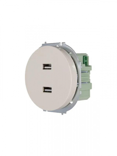 Розетка 2-м СП OSEN USB разъем механизм сл. кость LEZARD 743-9088-192 фото 2 Розетка 2-м СП OSEN USB разъем механизм сл. кость LEZARD 743-9088-192 фото 2