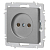 Розетка 1-м СП Accent 6-201-03 16А IP20 250В 2P алюм. Intro Б0063661