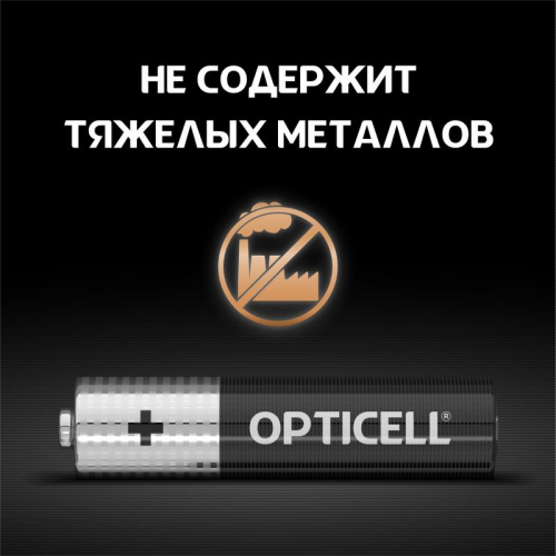 Элемент питания алкалиновый AAA/LR03 (блист. 4шт) Basic Opticell 5051002/6051002 фото 4 Элемент питания алкалиновый AAA/LR03 (блист. 4шт) Basic Opticell 5051002/6051002 фото 4