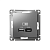 Розетка USB AtlasDesign тип A+C 5В/2.4А 2х5В/1.2А механизм сталь SE ATN000939