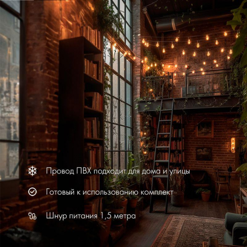 Гирлянда "Лофт" 7.5м 25 прозр. ламп тепл. бел. 2.5Вт IP44 уличная влагостойкая провод ПВХ черн Neon-Night 331-358 фото 2