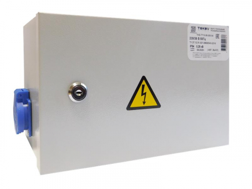 Ящик с понижающим трансформатором ЯТП 0.25 230/12 (2 авт. выкл.) IP54 TOKOV ELECTRICTKE-TT12-12-250-54 фото 2